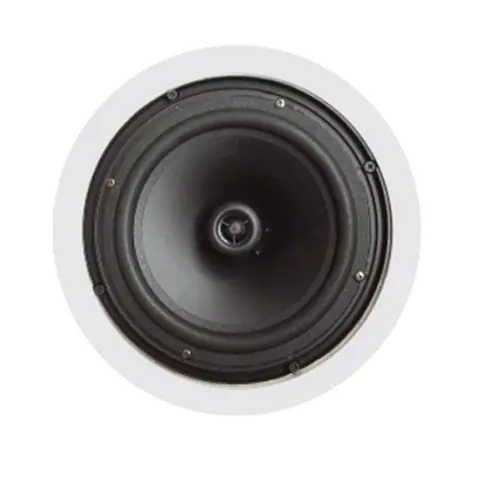 Lucky Tone Coaxial Ceiling Speaker with Optional Dome, product photo 4 of 7