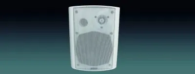 Lucky Tone Dante Cabinet Speaker, product photo 1 of 4