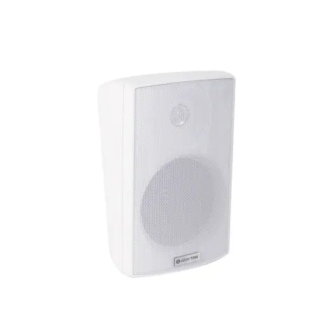 Lucky Tone 5 Inch Wall Mount Speaker with Tweeter, product photo 6 of 7