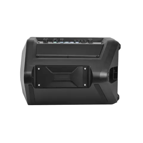 Lucky Tone 8-Inch Portable Speaker, product photo 4 of 10