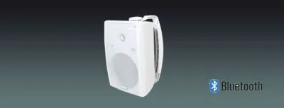 Lucky Tone 6.5 Inch Wireless TWS Paired Speaker, product photo 1 of 8