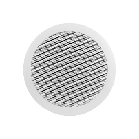 Lucky Tone 5.25-Inch Ceiling Speaker, product photo 2 of 10