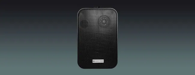 Lucky Tone Wall Mounted Speaker, product photo 1 of 7