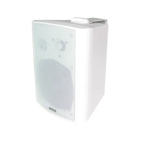 Lucky Tone Wall Mount Speakers, product photo 2 of 7