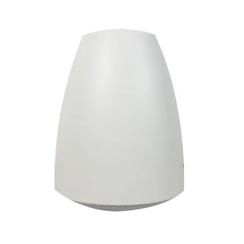 Lucky Tone 5″ Pendant speaker, product photo 6 of 7