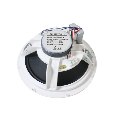 Lucky Tone Rimless Ceiling Speaker, product photo 6 of 7