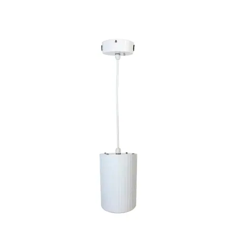 Lucky Tone 20W Aluminum Hang Speaker, product photo 3 of 7