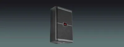 Lucky Tone 12″ High-Power Two-Way Stage Monitor, product photo 1 of 2