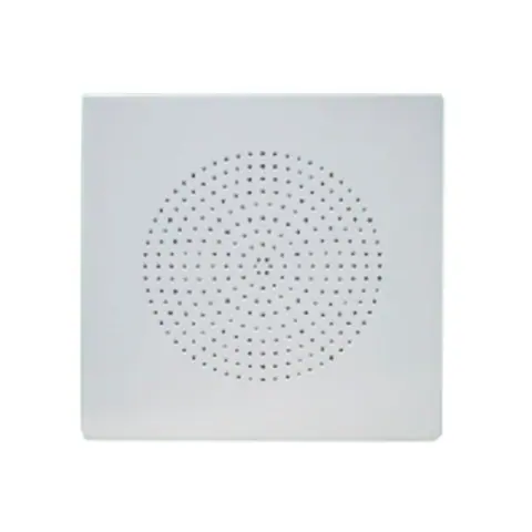 Lucky Tone Vandal Proof Wall Mount Speaker, product photo 2 of 4