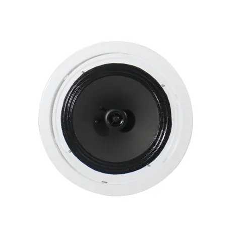 Lucky Tone High SPL IP Network Ceiling Speaker, product photo 4 of 6