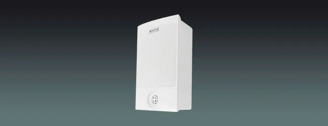 Lucky Tone 2-Way Wall Mount Speaker with Tweeter, product photo 1 of 7