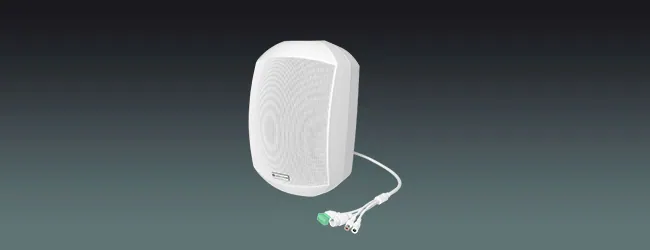 Lucky Tone ONVIF Network Wall Speaker, product photo 1 of 6