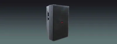 Lucky Tone 15″ High-Power Two-Way Loudspeaker, product photo 1 of 2