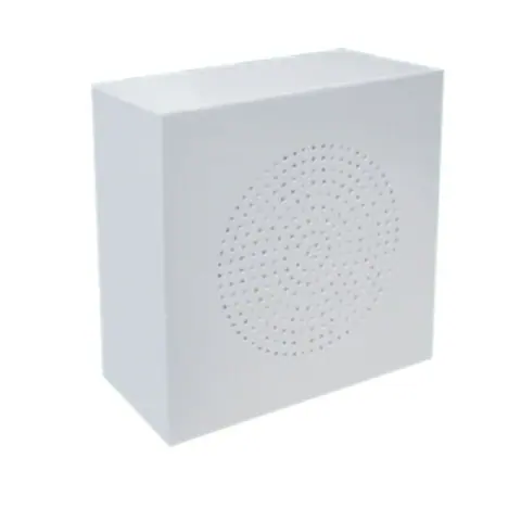 Lucky Tone Vandal Proof Wall Mount Speaker, product photo 3 of 4