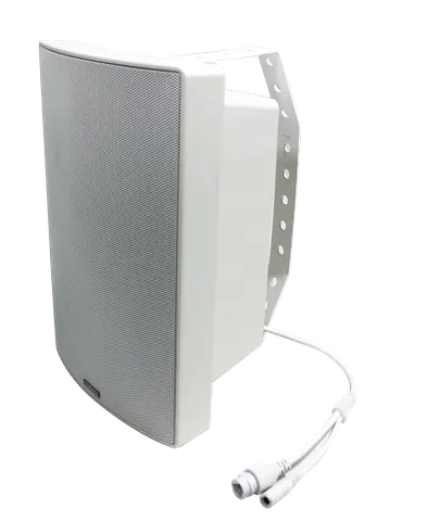 Lucky Tone Dante Wall Mounted Speaker, product photo 2 of 6
