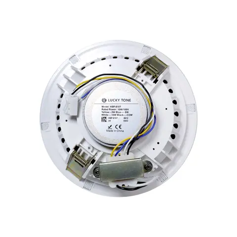 Lucky Tone Rimless Ceiling Speaker, product photo 7 of 11