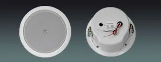 Lucky Tone 6” Metal Ceiling Speaker with Dome, product photo 1 of 4