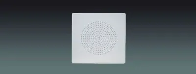 Lucky Tone Vandal Proof Wall Mount Speaker, product photo 1 of 4