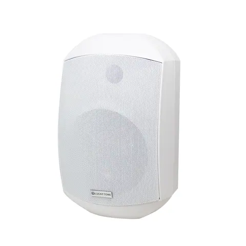 Lucky Tone WTP Outdoor Wall Mount Speaker, product photo 2 of 6