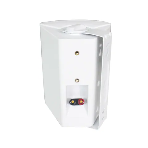 Lucky Tone Wall Mount Speakers, product photo 5 of 7