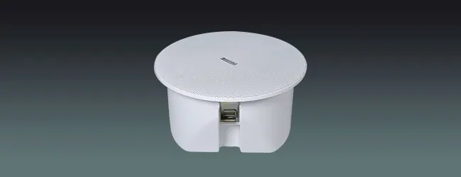 Lucky Tone Rimless Ceiling Speaker, product photo 1 of 11