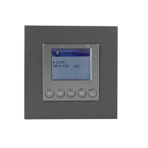 Lucky Tone 2-CH Wall Amplifier with Color Screen, product photo 2 of 8
