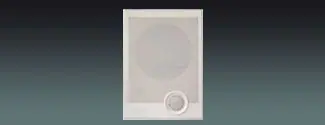 Lucky Tone Wall-mounted Speaker, product photo 1 of 3