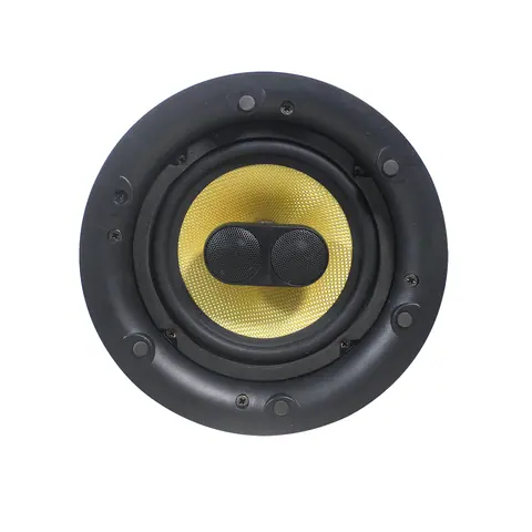 Lucky Tone High Performance Wi-Fi & BT Ceiling Speaker, product photo 4 of 4