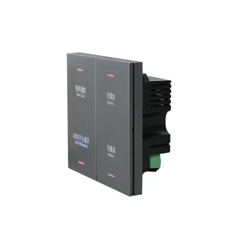 Lucky Tone 2-CH Wall Amplifier, product photo 4 of 6