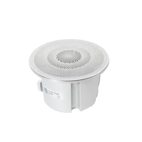 Lucky Tone Compact Ceiling Speaker System, product photo 7 of 10