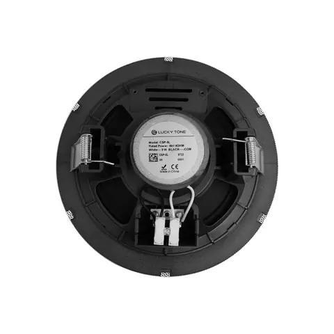 Lucky Tone 5.25-Inch Ceiling Speaker, product photo 8 of 10