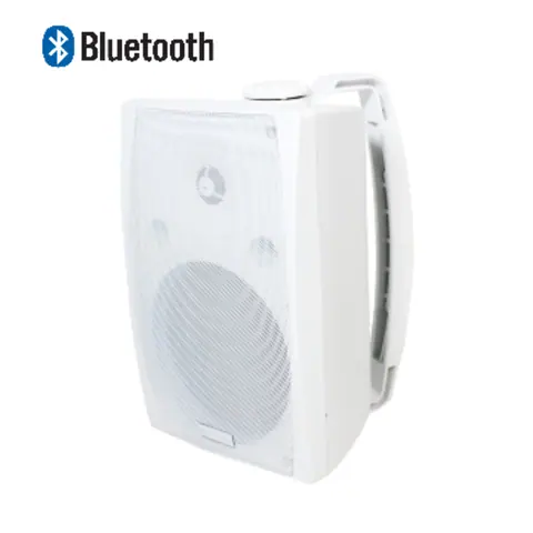 Lucky Tone 6.5 Inch Wireless TWS Paired Speaker, product photo 2 of 8
