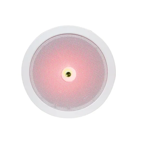 Lucky Tone SIP Ceiling Speaker with Microphone and Light, product photo 3 of 7