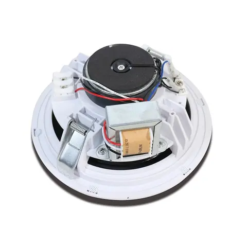 Lucky Tone High Performance 2-way Rimless Speaker, product photo 5 of 5