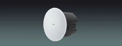 Lucky Tone 2-Way Speaker with Crossover, product photo 1 of 6