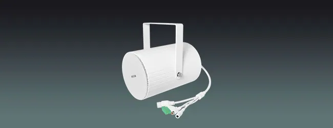 Lucky Tone ONVIF Network Projection Speaker, product photo 1 of 5