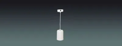 Lucky Tone 10W ABS Sound Hang Speaker, product photo 1 of 7