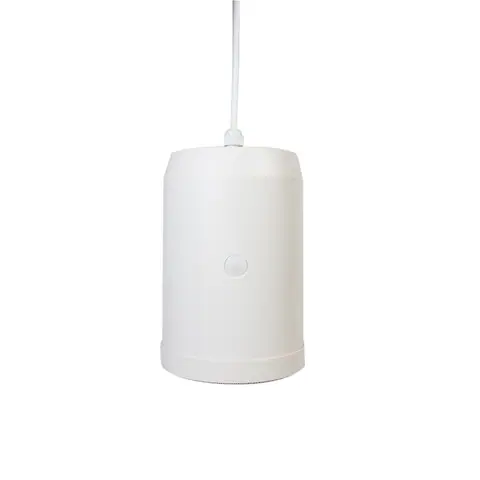 Lucky Tone 10W ABS Sound Hang Speaker, product photo 3 of 7