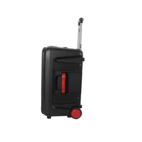 Lucky Tone 10/12-Inch Bluetooth Trolley Speaker, product photo 7 of 8