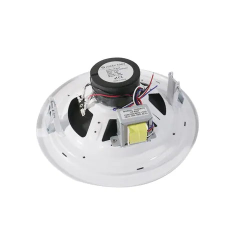 Lucky Tone High SPL 8-Inch Ceiling Speaker, product photo 3 of 6