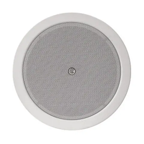 Lucky Tone 6” Metal Ceiling Speaker with Dome, product photo 3 of 4