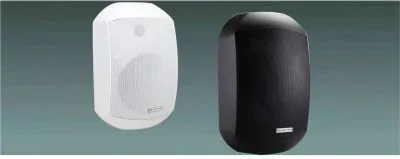 Lucky Tone WTP Outdoor Wall Mount Speaker, product photo 1 of 6