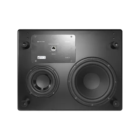 Lucky Tone Network Subwoofer with DSP, product photo 2 of 8