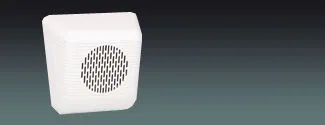 Lucky Tone Wall Mounted Speaker, product photo 1 of 2