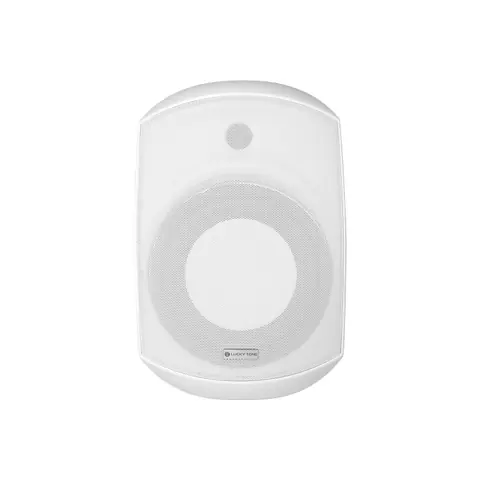 Lucky Tone Indoor Wall Mount Subwoofer, product photo 5 of 7