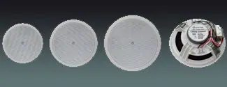 Lucky Tone Cost-effective ABS ceiling speaker, product photo 1 of 4