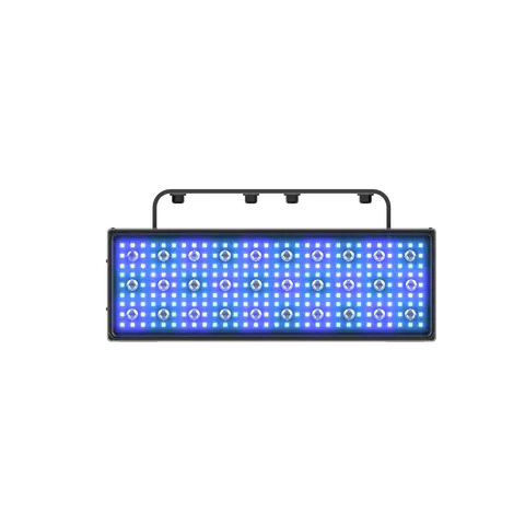 ACME LIGHTNING, product photo 4 of 7