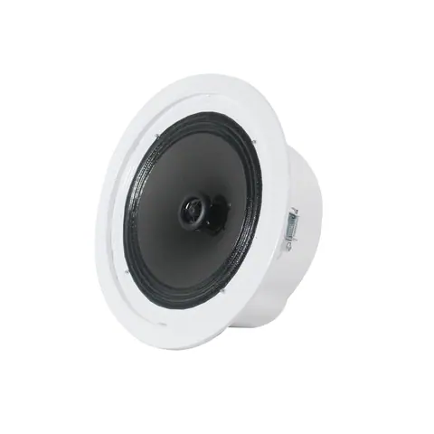 Lucky Tone High SPL 8-Inch Ceiling Speaker With Fire Dome, product photo 3 of 6