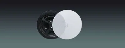 Lucky Tone 8″ 2 Way Ceiling Speaker With Crossover, product photo 1 of 9