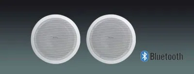 Lucky Tone High Power Bluetooth Ceiling Speaker, product photo 1 of 6